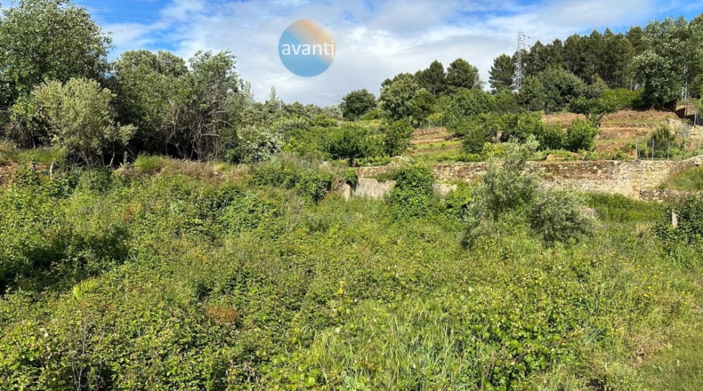 Cáceres - Torre de Don Miguel - 2396m2