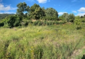 Land suitable for development for sale in Torre de Don Miguel ref: TR252372 photo