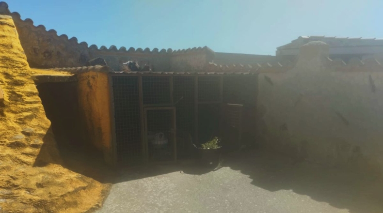 Salamanca - Calvarrasa de Arriba - 1000m2