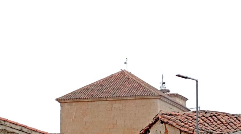 Salamanca - Palencia de Negrilla - 515m2