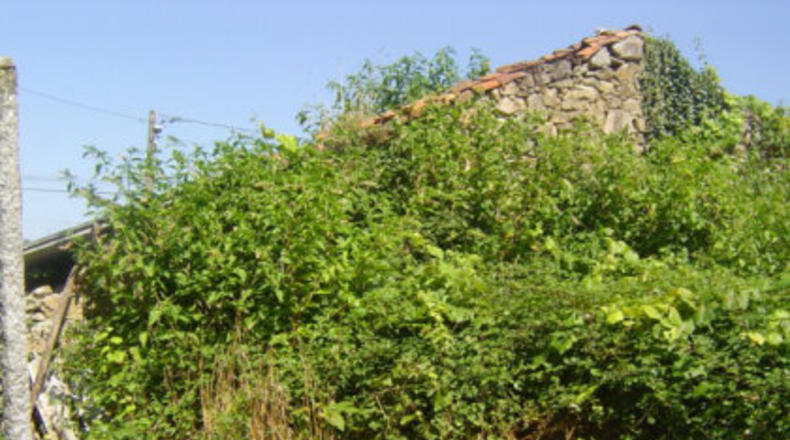 Pontevedra - A Igrexa - 3976m2