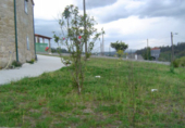 Chalet independiente con terreno en venta en Vilar ref: TR21070 foto