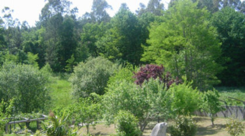 La Coruña - A Ribeira - 3850m2