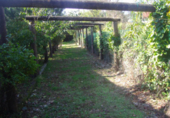 Finca rústica en venta en Chaves ref: TR18272 foto