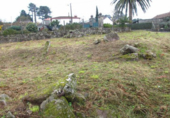 Terreno no urbanizable en venta en A Estrada ref: TR22031 foto