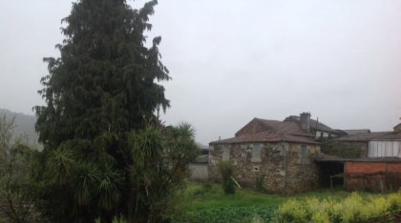 Pontevedra - Portela - 1280m2