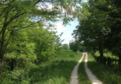 Non-developable land for sale in Eiravedra ref: TR99389 photo