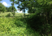 Non-developable land for sale in Eiravedra ref: TR99389 photo