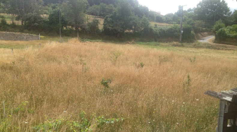 Pontevedra - O Soutiño - 3000m2