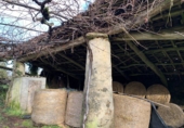 Finca rústica en venda a Santiago de Compostel·la ref.: TR80936 foto