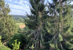Foto 17