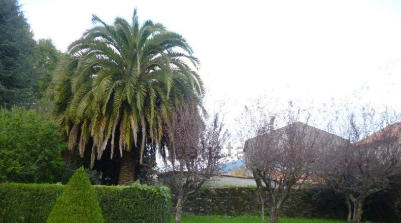 Pontevedra - San Julian - 3500m2