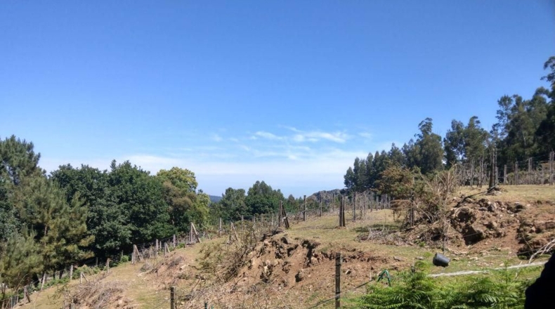 La Coruña - Ortigueira - 41500m2