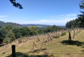 Eiravedra 41500&nbsp;m² 
