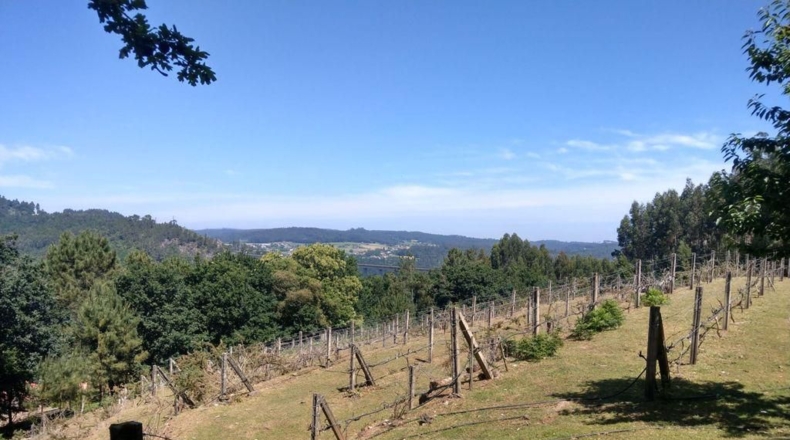 La Coruña - Ortigueira - 41500m2