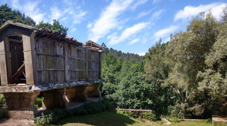 La Coruña - Ortigueira - 41500m2