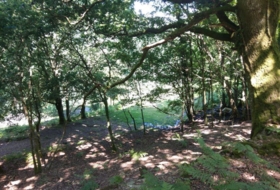 Eiravedra 41500&nbsp;m² 