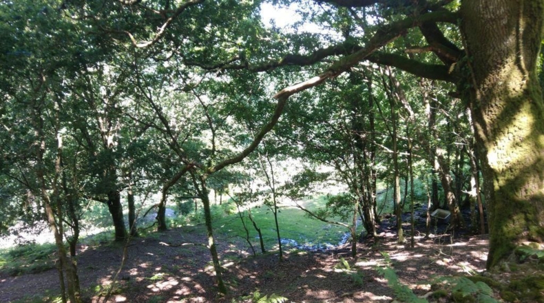 La Coruña - Ortigueira - 41500m2