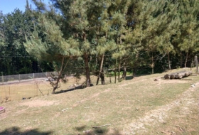 Eiravedra 41500&nbsp;m² 