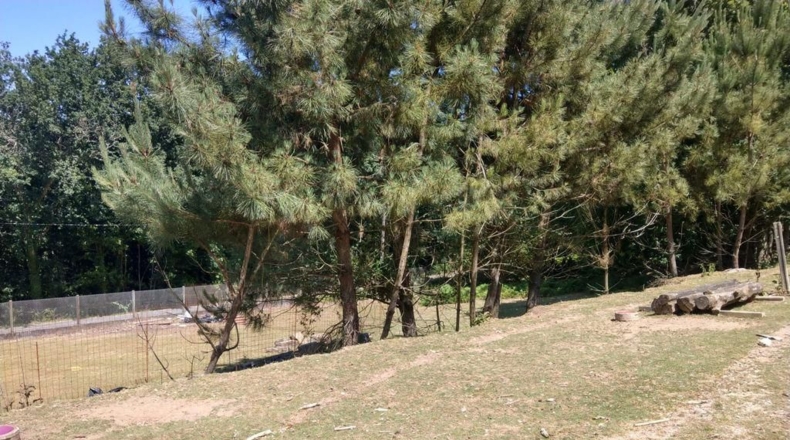 La Coruña - Ortigueira - 41500m2