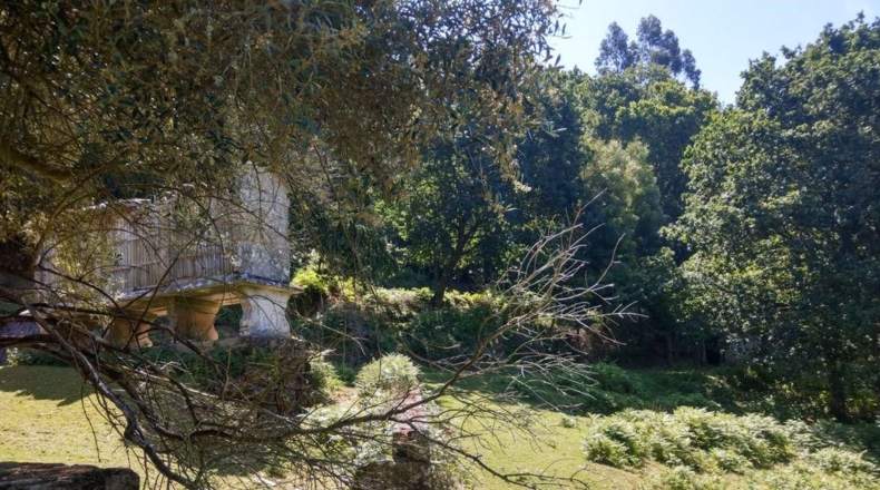 La Coruña - Ortigueira - 41500m2