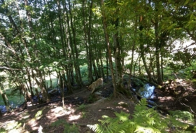 Eiravedra 41500&nbsp;m² 