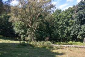 Eiravedra 41500&nbsp;m² 