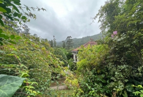 Eiravedra 35000&nbsp;m² 