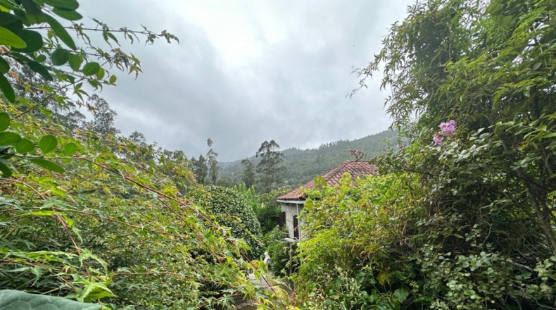 La Coruña - Vista Alegre - 35000m2