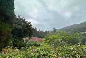 Eiravedra 35000&nbsp;m² 