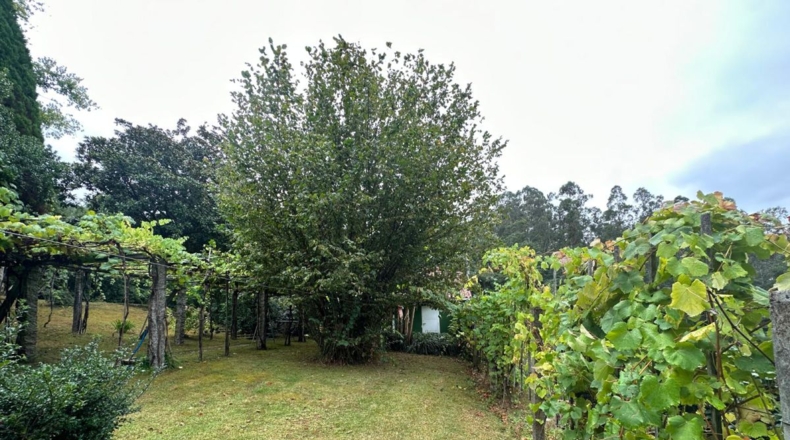 La Coruña - Vista Alegre - 35000m2