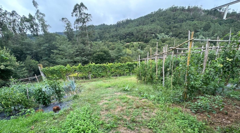 La Coruña - Vista Alegre - 35000m2