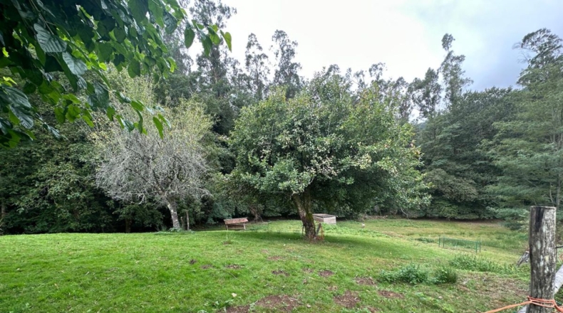La Coruña - Vista Alegre - 35000m2