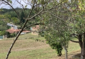 Finca rústica en venda a Eiravedra ref.: TR274597 foto
