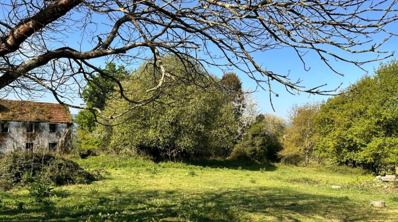 La Coruña - Gatente - 12000m2