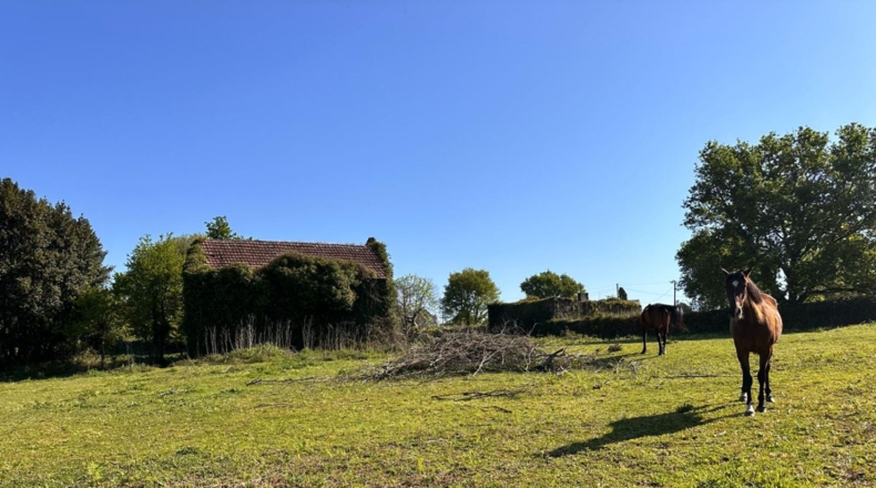 La Coruña - Gatente - 12000m2