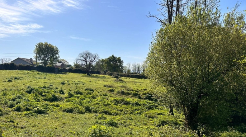 La Coruña - Gatente - 12000m2