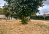 Chalet independiente con terreno en venta en O Forte ref: TR332731 foto