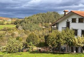 Vila de Cruces 8300&nbsp;m² 
