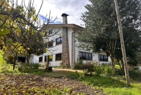 Vila de Cruces 8300&nbsp;m² 