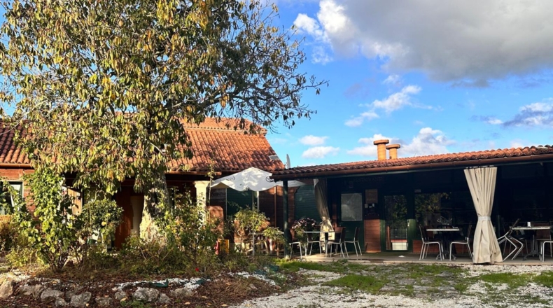 La Coruña - Rozadela - 19000m2