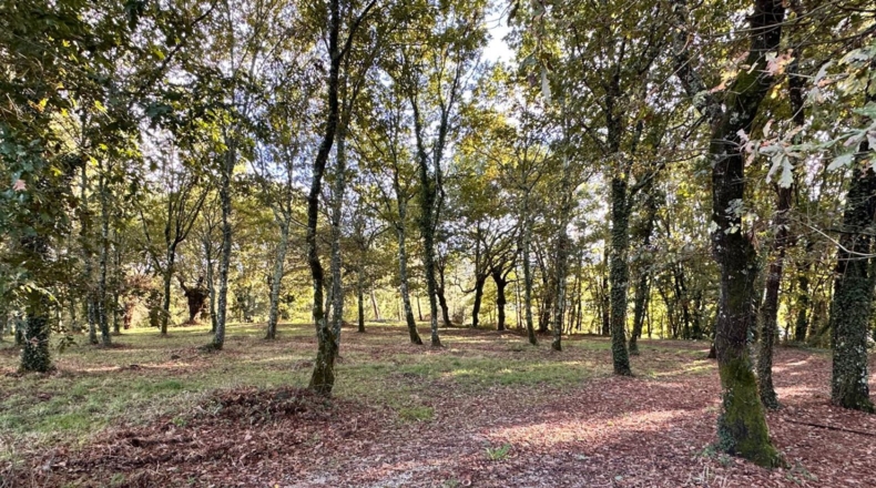La Coruña - Rozadela - 19000m2
