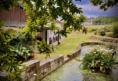 Finca rústica en venta en Eiravedra ref: TR369149 foto
