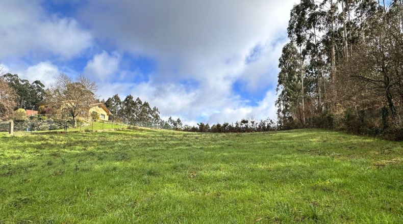 Pontevedra - Lalín - 2500m2