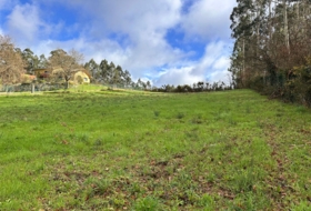 O Forte 2500&nbsp;м²