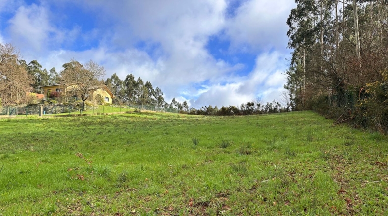 Pontevedra - Lalín - 2500m2
