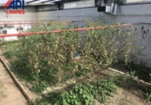 Отдельно стоящий дом с участком на продажу в городе Линарес. Фото