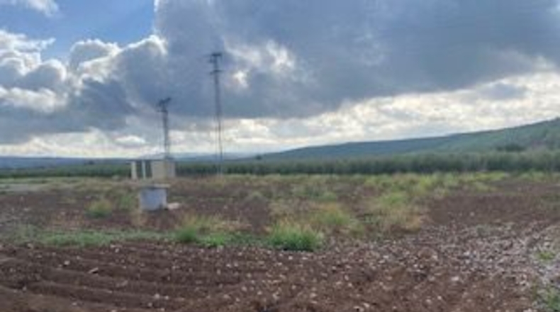 Jaén - Linares - 42500m2