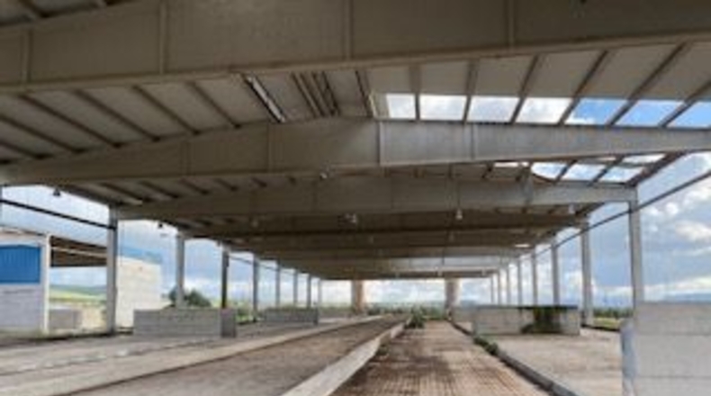 Jaén - Linares - 42500m2
