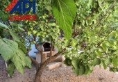 Xalet independent amb terreny en venda a Canena ref.: TR189264 foto